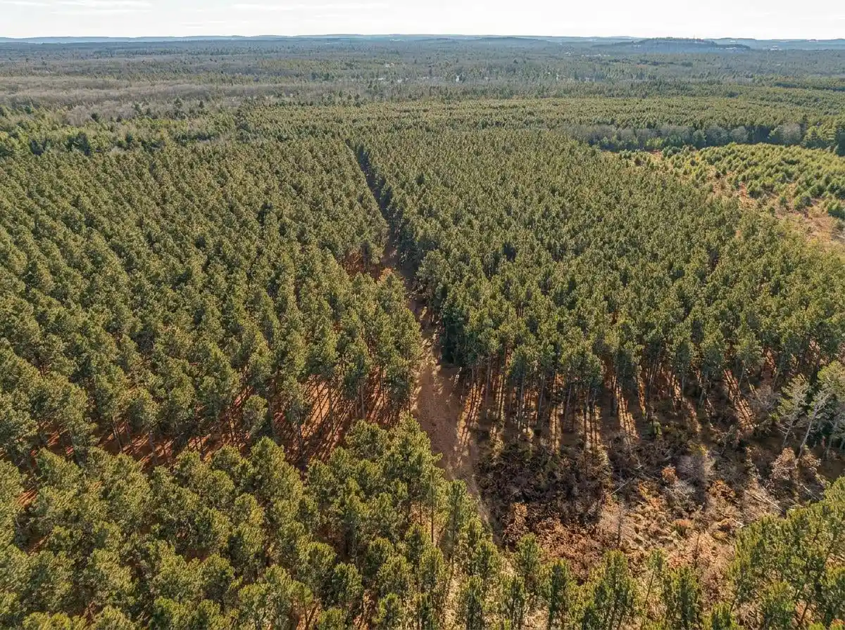 35th image of 78 Acres County Road K, Wisconsin Dells, WI 53965 | MLS# 2029527