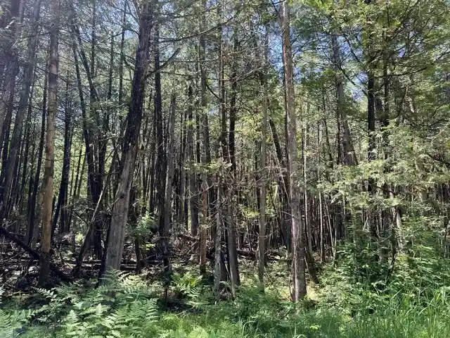 12th image of N14675 Lanfear Road Road, Amberg, WI 54102 | MLS# 50330244