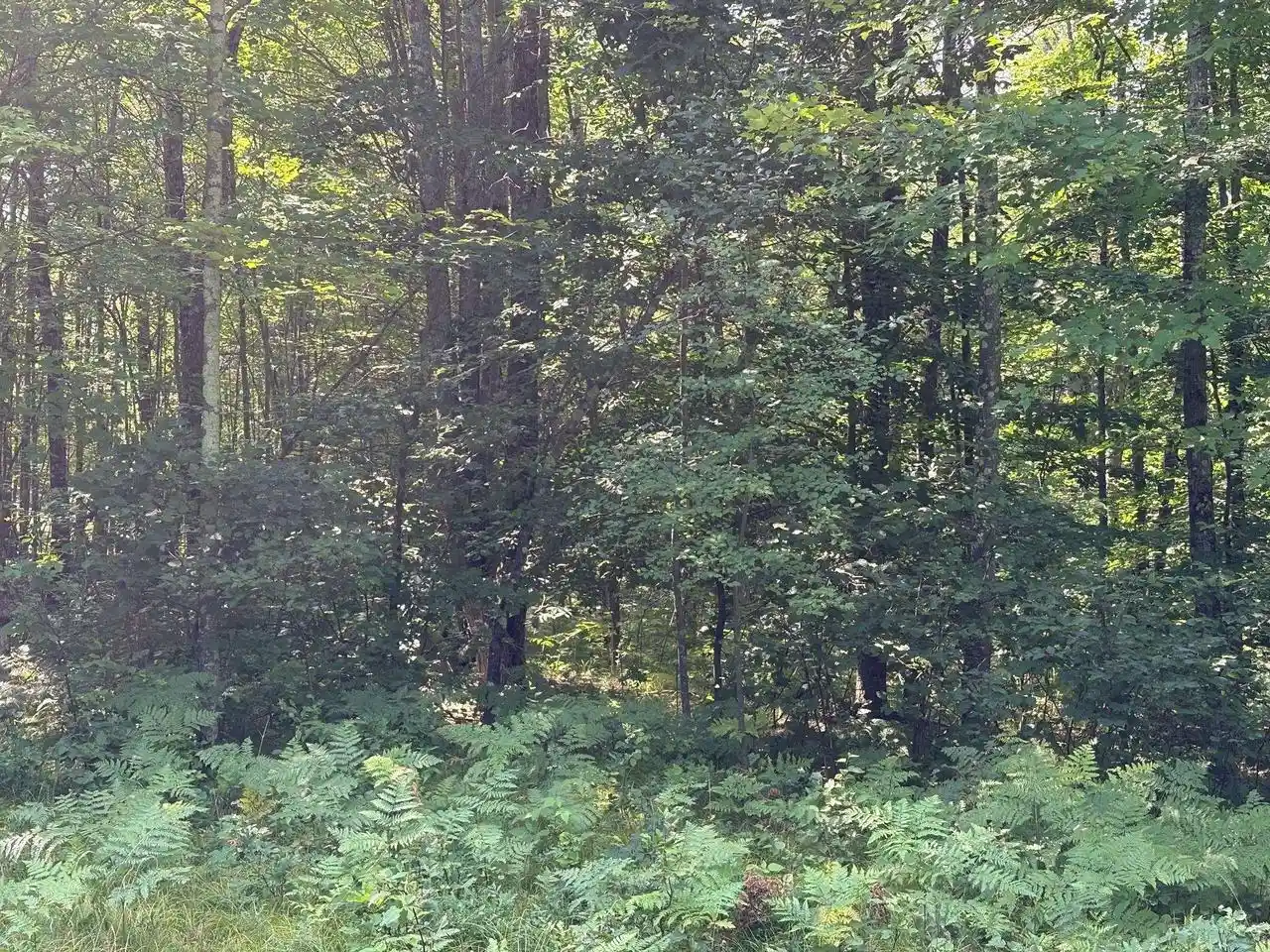 5th image of W13470 Eagle River Road Road, Athelstane, WI 54104 | MLS# 50330249