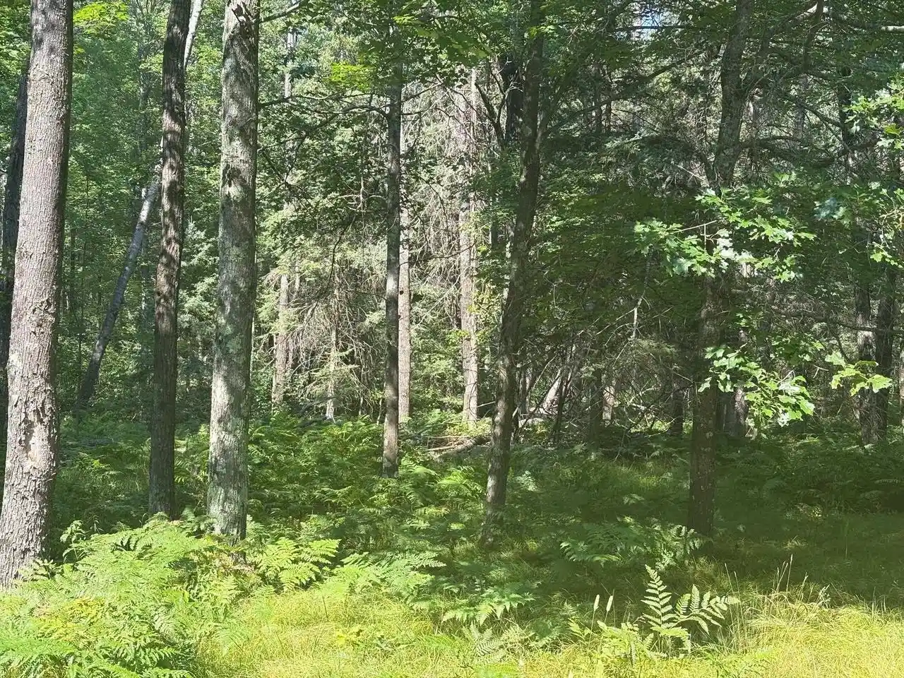 19th image of W13470 Eagle River Road Road, Athelstane, WI 54104 | MLS# 50330249