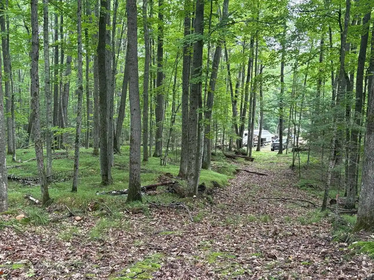 1st image of W15795 Fawn Acres Road Road, Goodman, WI 54125 | MLS# 50330259