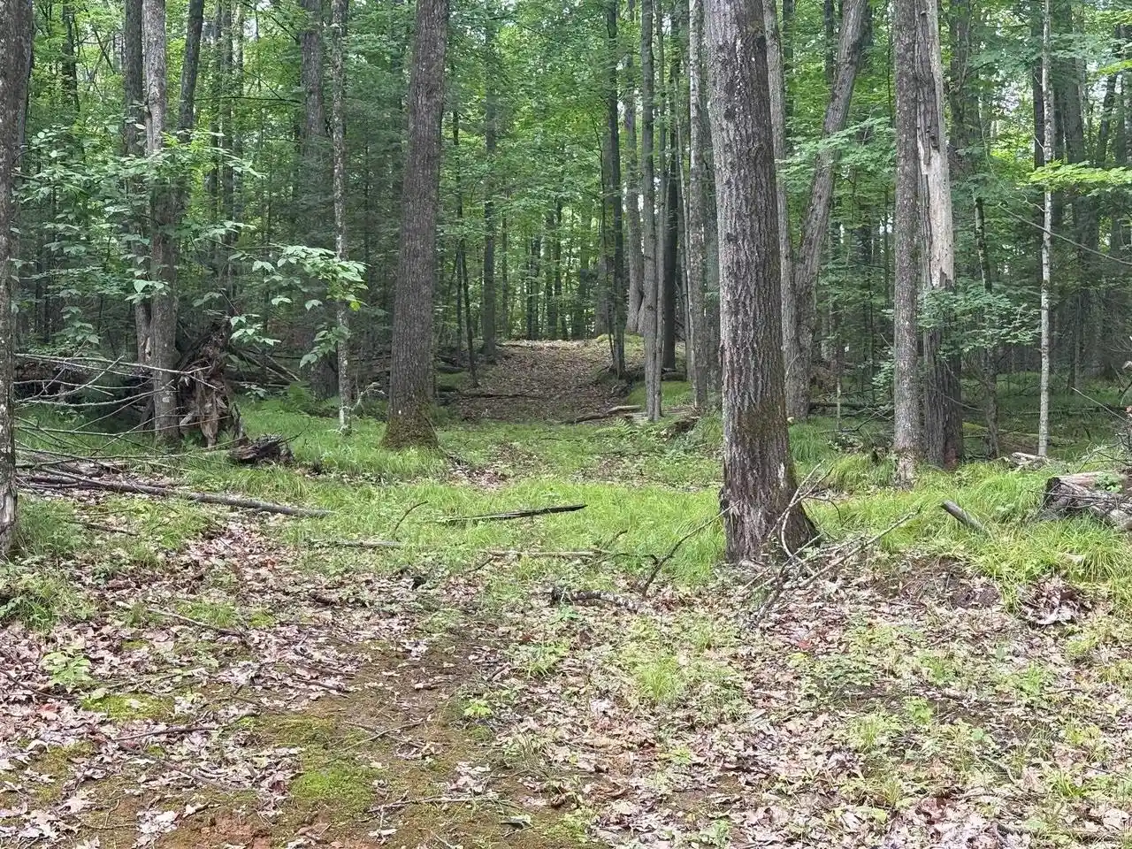2nd image of W15795 Fawn Acres Road Road, Goodman, WI 54125 | MLS# 50330259