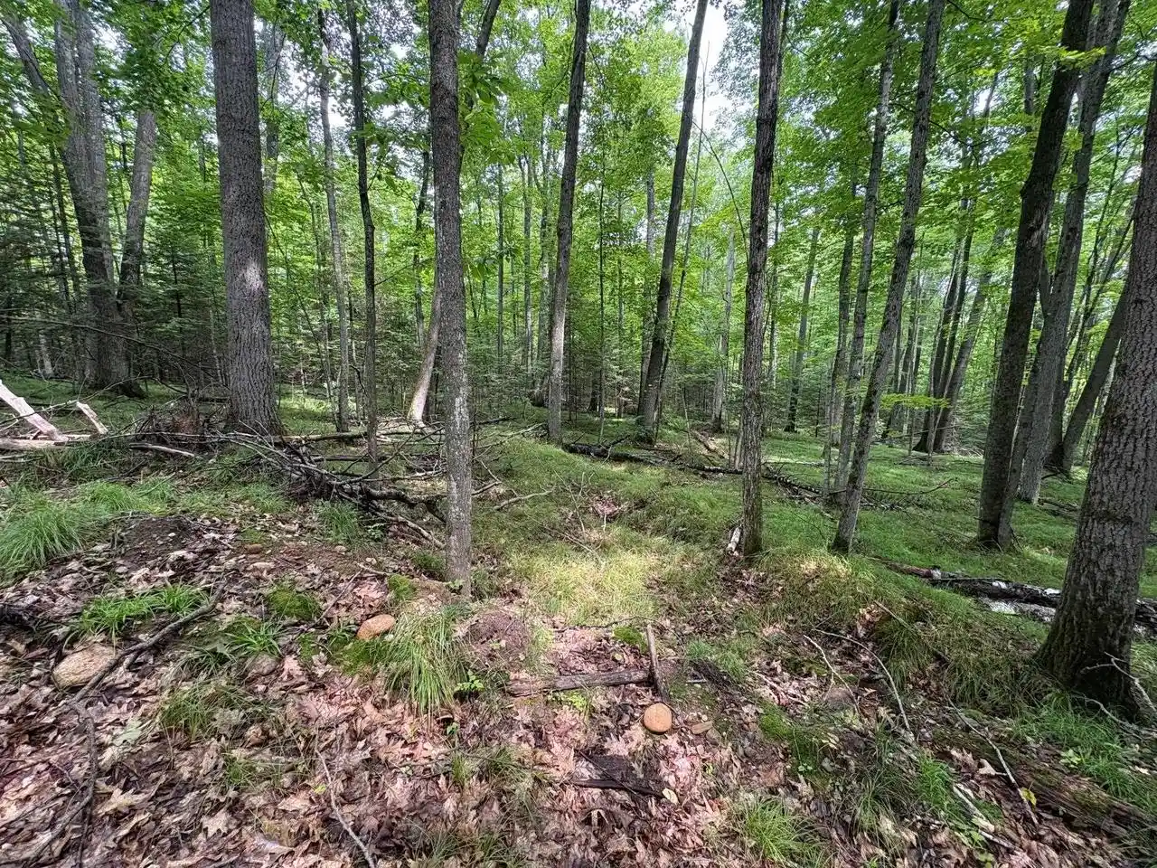 3rd image of W15795 Fawn Acres Road Road, Goodman, WI 54125 | MLS# 50330259