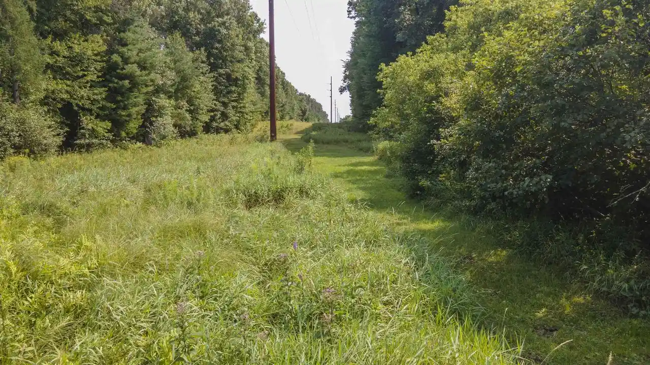 5th image of W8224 Cottonville Lane Lane, Wautoma, WI 54982 | MLS# 50330263