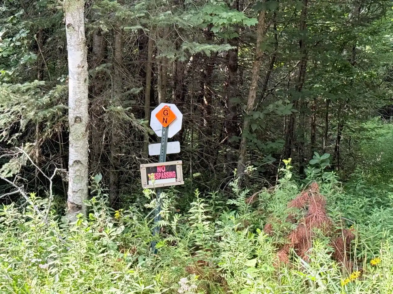2nd image of 40 Ac Sunrise Road Road, Merrill, WI 54452 | MLS# 22603705
