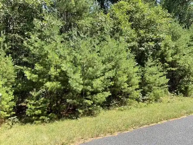 1st image of Parcel 18th Avenue Avenue, Arkdale, WI 54613 | MLS# 2029539
