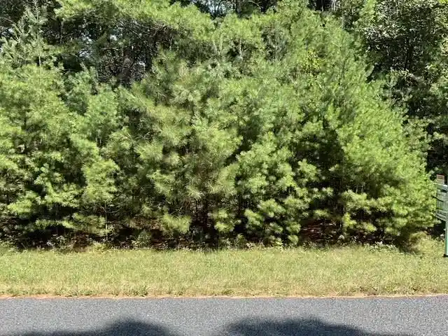 2nd image of Parcel 18th Avenue Avenue, Arkdale, WI 54613 | MLS# 2029539