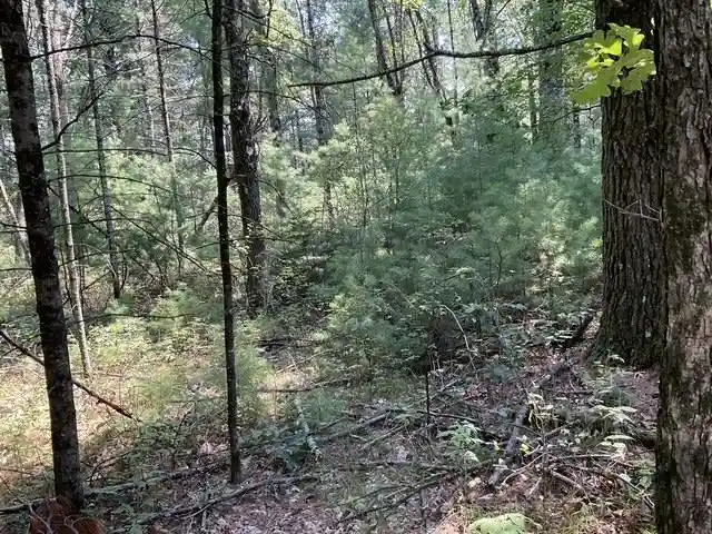 3rd image of Parcel 18Th Avenue Avenue, Arkdale, WI 54613 | MLS# 2029539