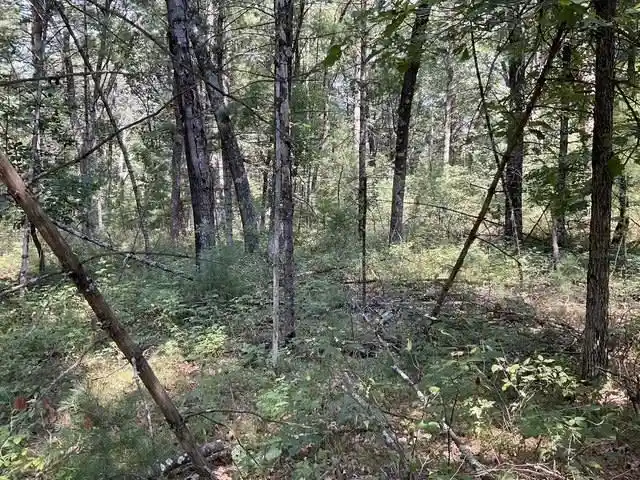 6th image of Parcel 18th Avenue Avenue, Arkdale, WI 54613 | MLS# 2029539
