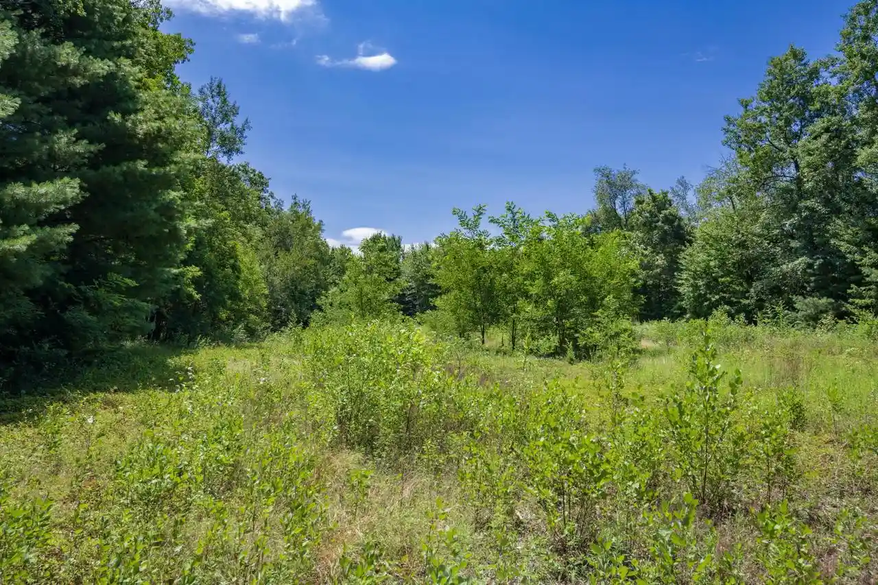2nd image of 9732 Acres E Flint Street Street, Lyndon Station, WI 53944 | MLS# 2029580