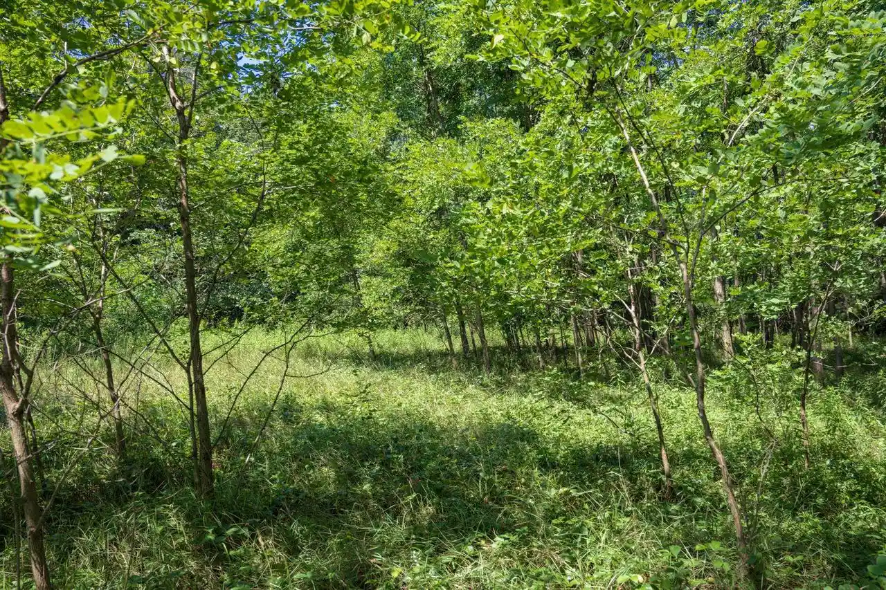 4th image of 9732 Acres E Flint Street Street, Lyndon Station, WI 53944 | MLS# 2029580