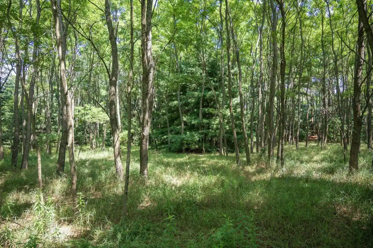 5th image of 9732 Acres E Flint Street Street, Lyndon Station, WI 53944 | MLS# 2029580