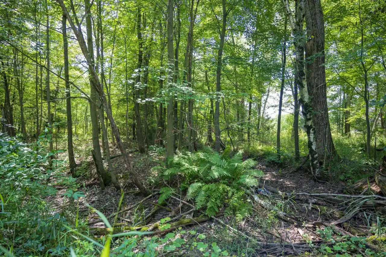 34th image of 9732 Acres E Flint Street Street, Lyndon Station, WI 53944 | MLS# 2029580