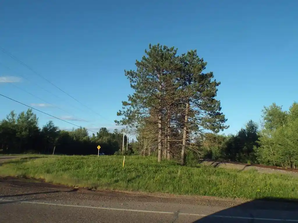 5th image of On Railroad Avenue Avenue #.80 ACRES, Argonne, WI 54511 | MLS# 22603721