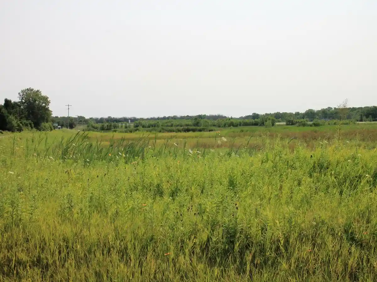 2nd image of Lot 1 Sandhill Dr Dr, Oconto, WI 54153 | MLS# 50330306