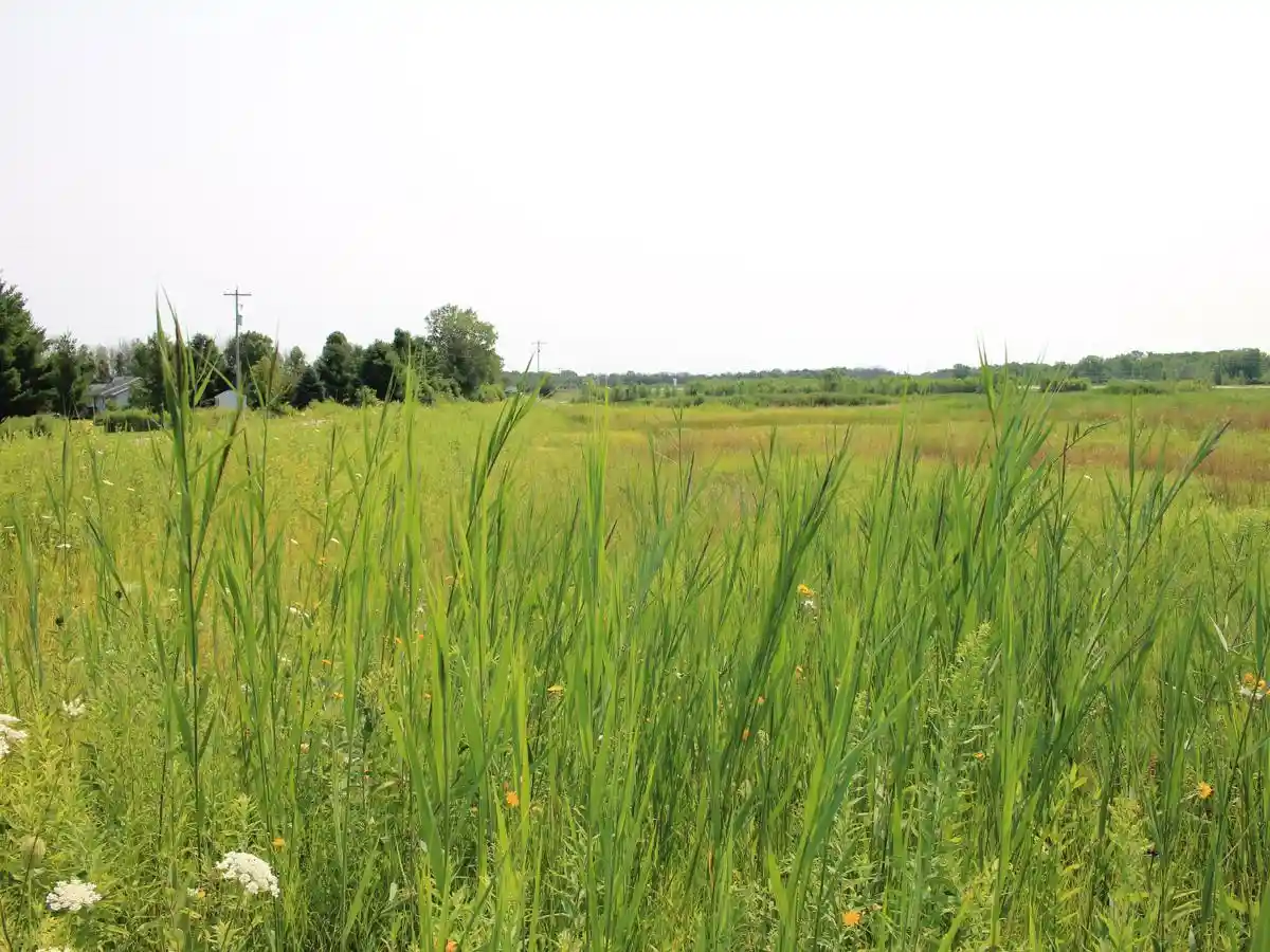 8th image of Lot 1 Sandhill Dr Dr, Oconto, WI 54153 | MLS# 50330306
