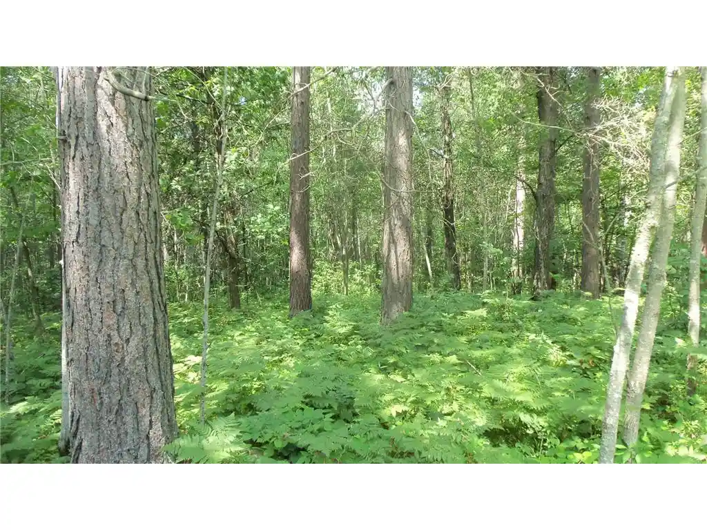 Photo 2 of Land for sale at Lot 1 Brch Tree Trl, Spooner, WI 54801 | MLS# 7121067 | Listing updated on 2026-08-03