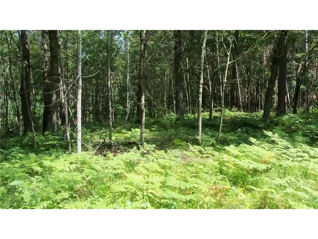 Photo 3 of Land for sale at Lot 1 Brch Tree Trl, Spooner, WI 54801 | MLS# 7121067 | Listing updated on 2026-08-03