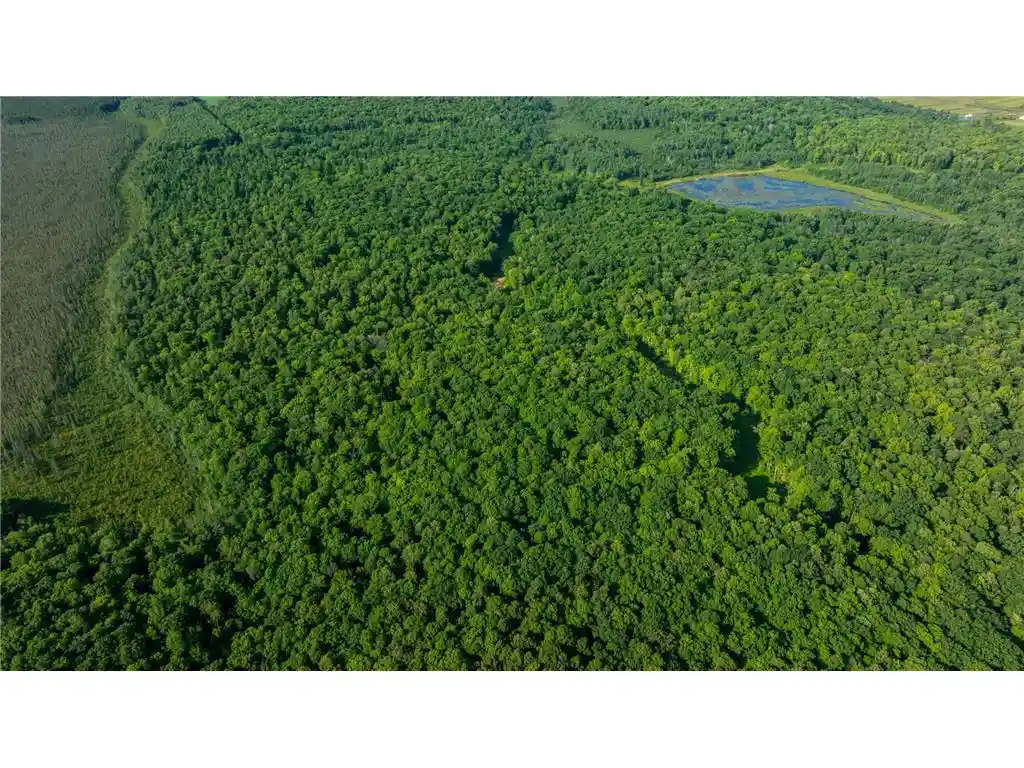 Photo 45 of Land for sale at 0000 State Hwy 27 0000, Exeland, WI 54835 | MLS# 7121108 | Listing updated on 2026-09-11