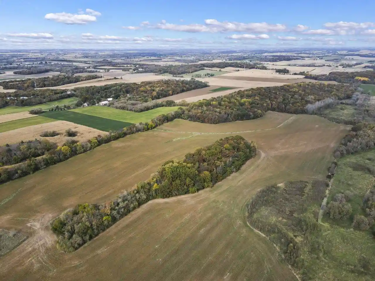 Photo 3 of Land for sale at 116 Acres E Medina Road Road, Marshall, WI 53559 | MLS# 2029607 | Listing updated on 2026-09-14