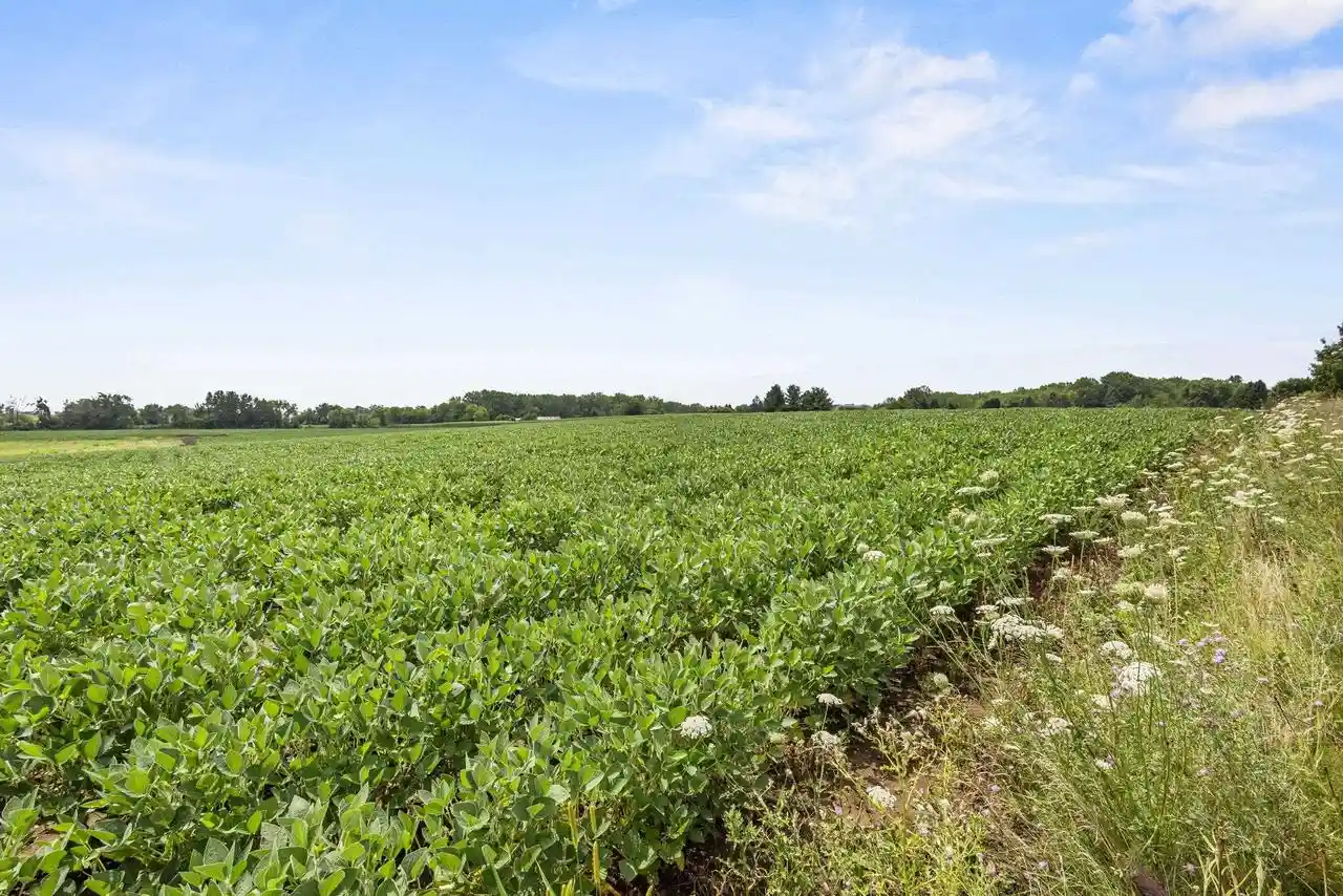 Photo 3 of Land for sale at Julius Dr Dr, Greenville, WI 54942 | MLS# 50330323 | Listing updated on 2026-08-05