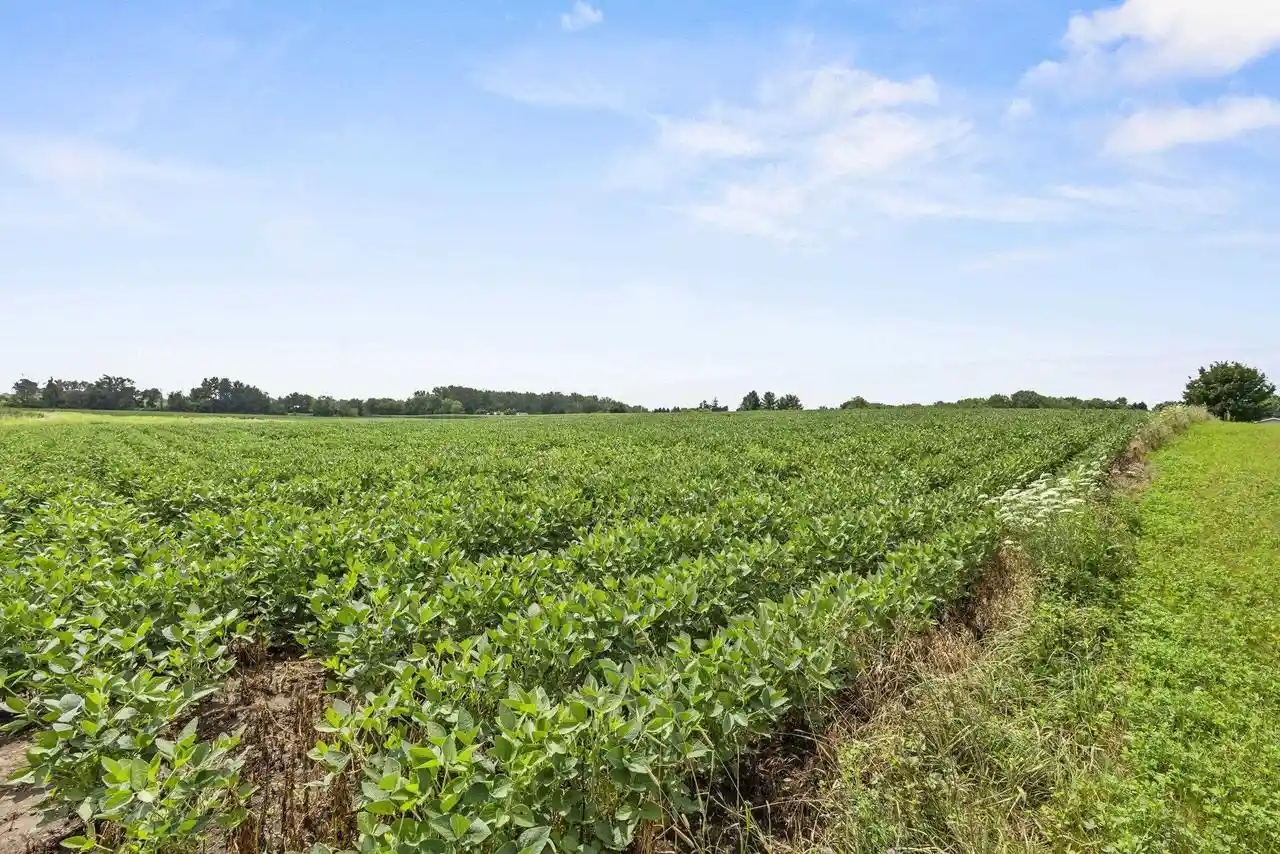 Photo 3 of Land for sale at Julius Dr Dr, Greenville, WI 54942 | MLS# 50330323 | Listing updated on 2026-08-05
