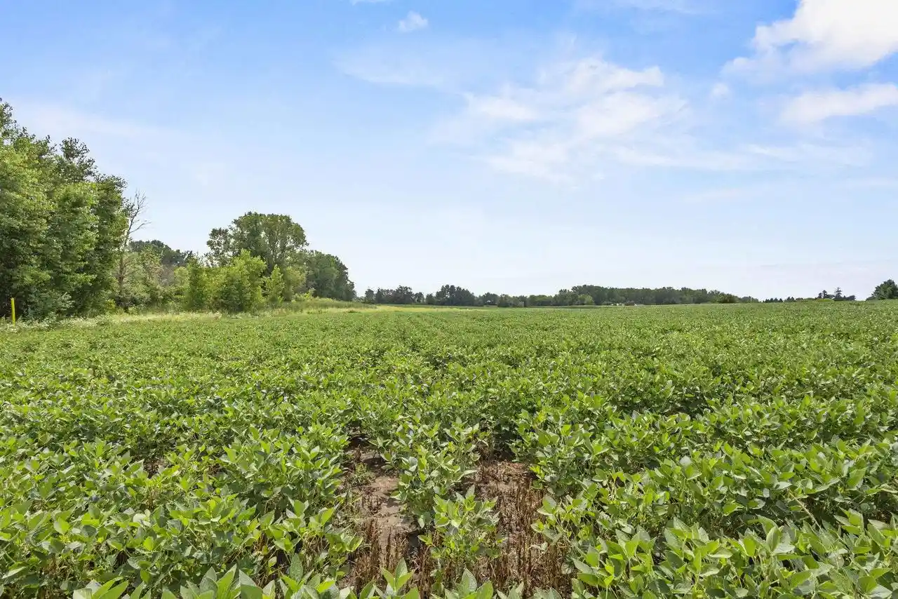 Photo 4 of Land for sale at Julius Dr Dr, Greenville, WI 54942 | MLS# 50330323 | Listing updated on 2026-08-05