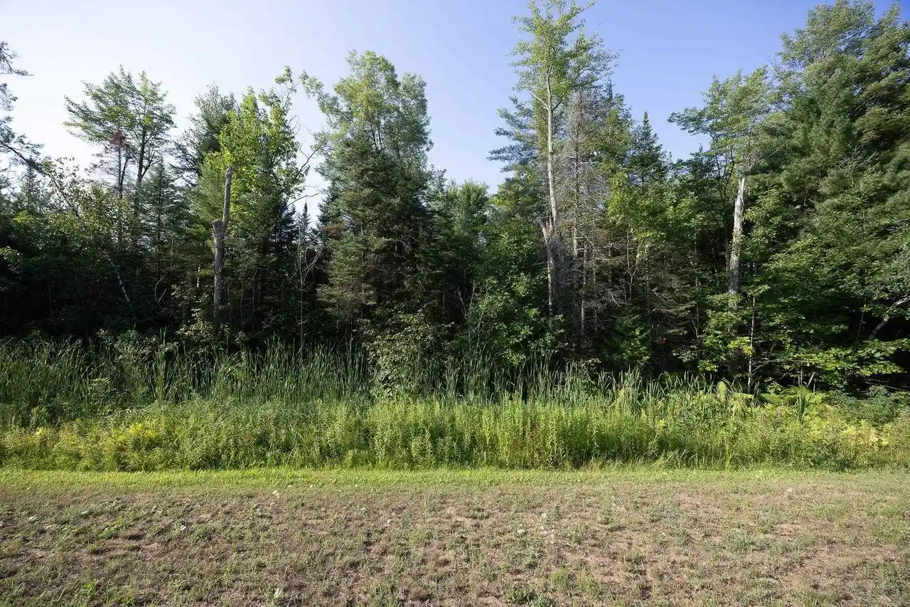 1st image of Hwy 64, Suring, WI 54174 | MLS# 50330355