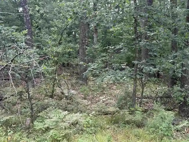 4th image of Lt 1 13Th Avenue Avenue, Friendship, WI 53934 | MLS# 2029629