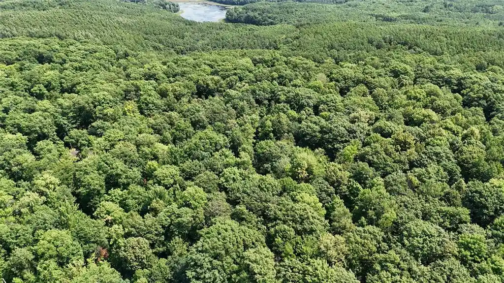 5th image of Lot 15 Wolf Lane Lane, Hayward, WI 54843 | MLS# 1603884