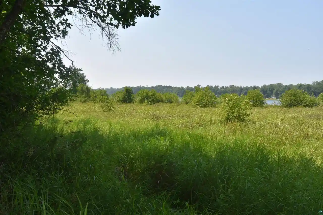 3rd image of 332Xx Mcgraw Lake Rd Rd, Danbury, WI 54830 | MLS# 6127142