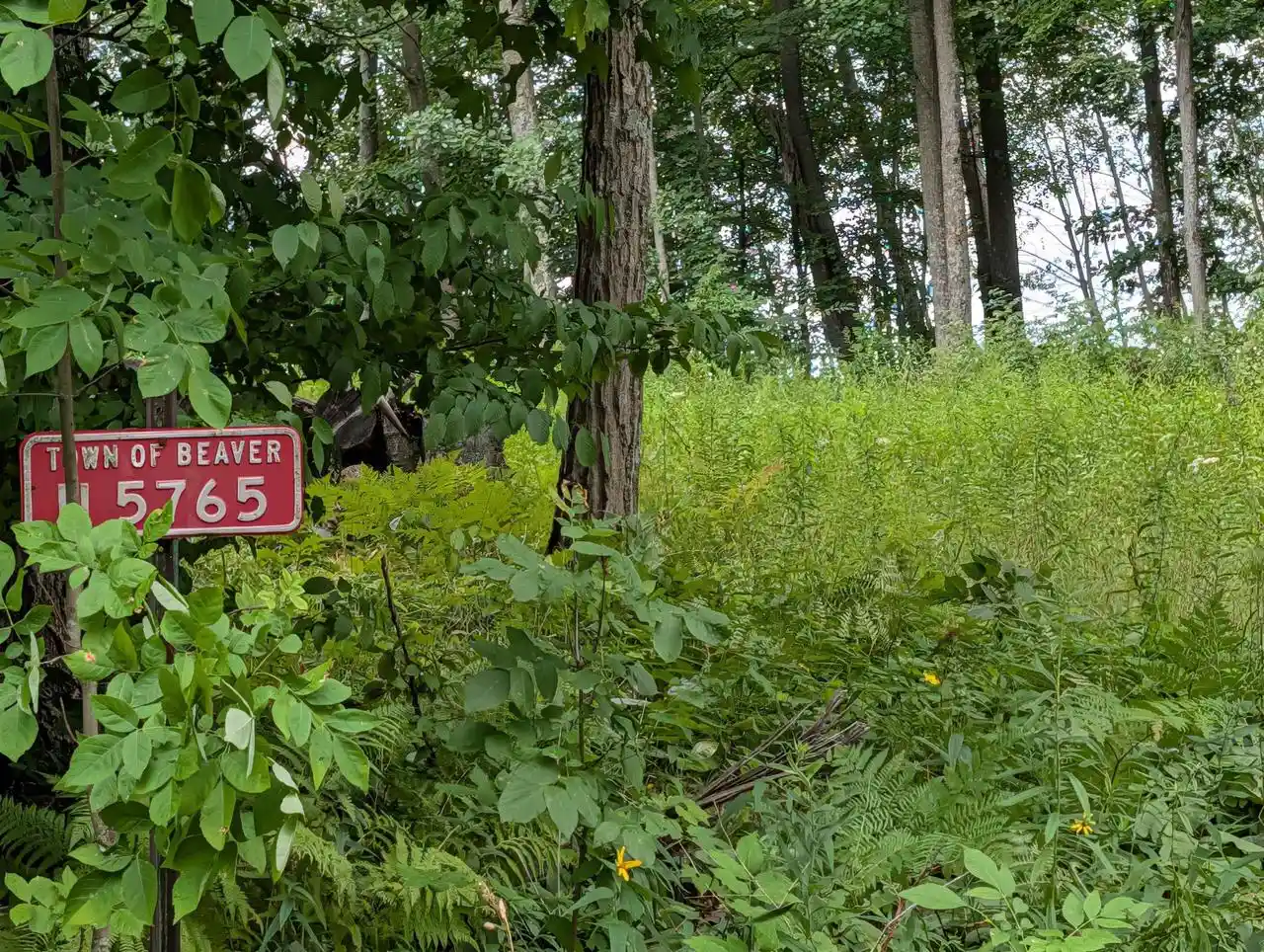1st image of N5765 Parkway Road Road, Pound, WI 54161 | MLS# 50330364