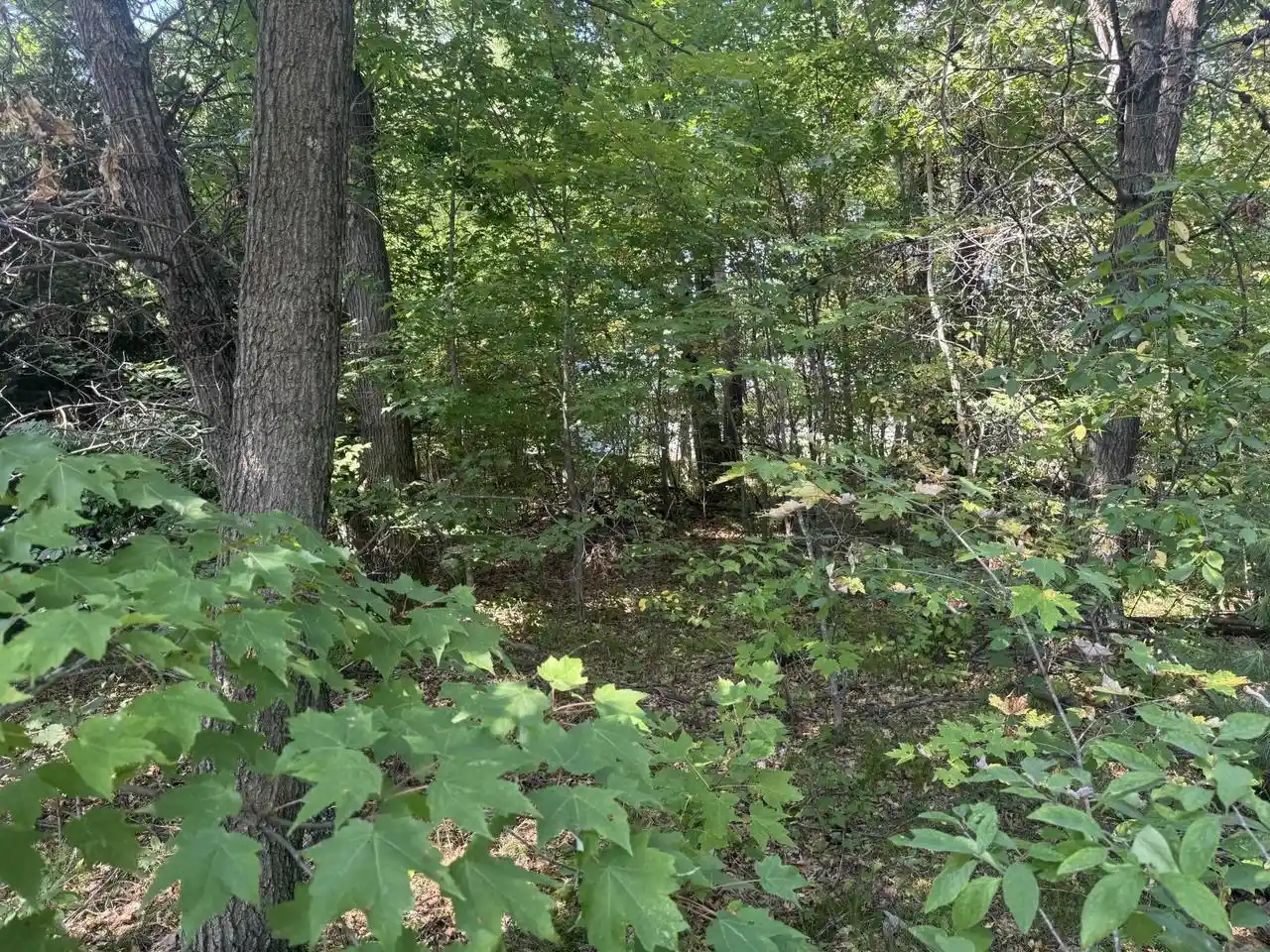 1st image of 250 White Oak Lane Lane, Wisconsin Dells, WI 53965 | MLS# 2029663