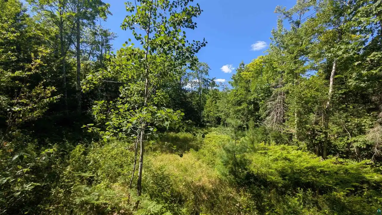 Photo 2 of Land for sale at 32xxx Lake Caroline Rd Rd, Mellen, WI 54546 | MLS# 6127154 | Listing updated on 2026-08-28