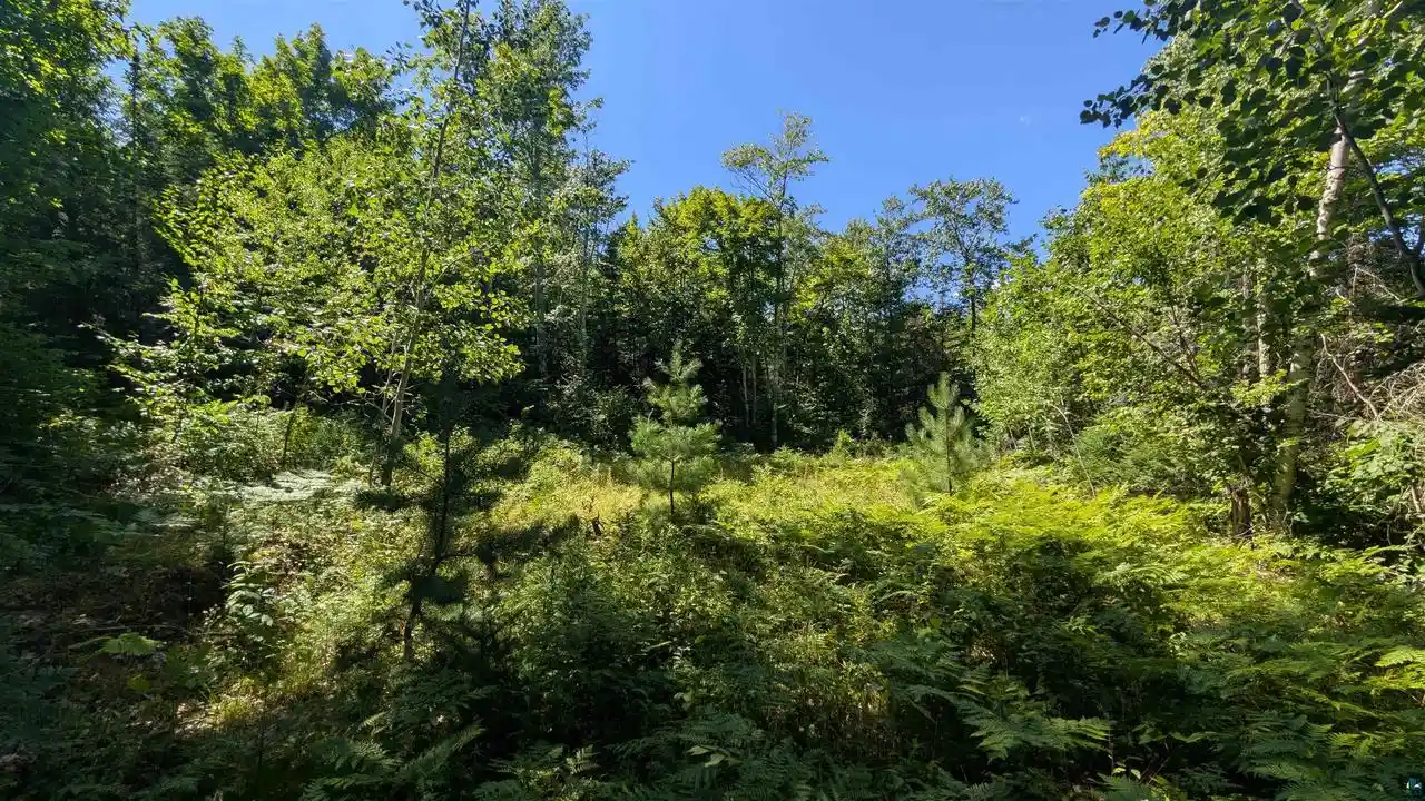 Photo 8 of Land for sale at 32xxx Lake Caroline Rd Rd, Mellen, WI 54546 | MLS# 6127154 | Listing updated on 2026-08-28