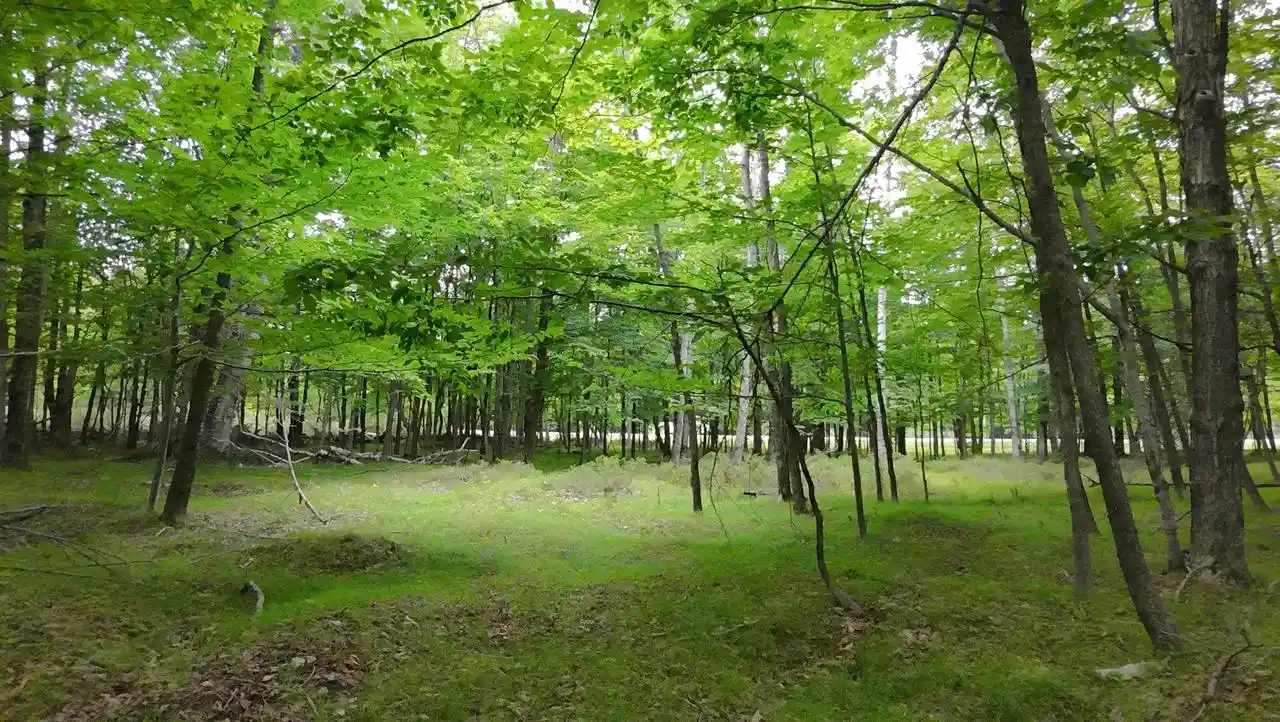 1st image of Gibraltar Road Road, Fish Creek, WI 54212 | MLS# 50330400