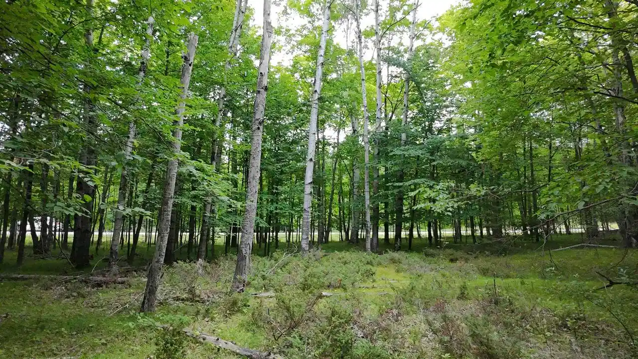 2nd image of Gibraltar Road Road, Fish Creek, WI 54212 | MLS# 50330400