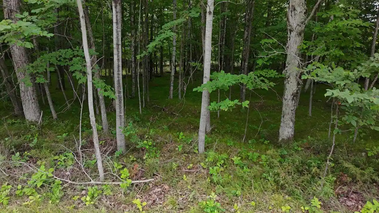 3rd image of Gibraltar Road Road, Fish Creek, WI 54212 | MLS# 50330400