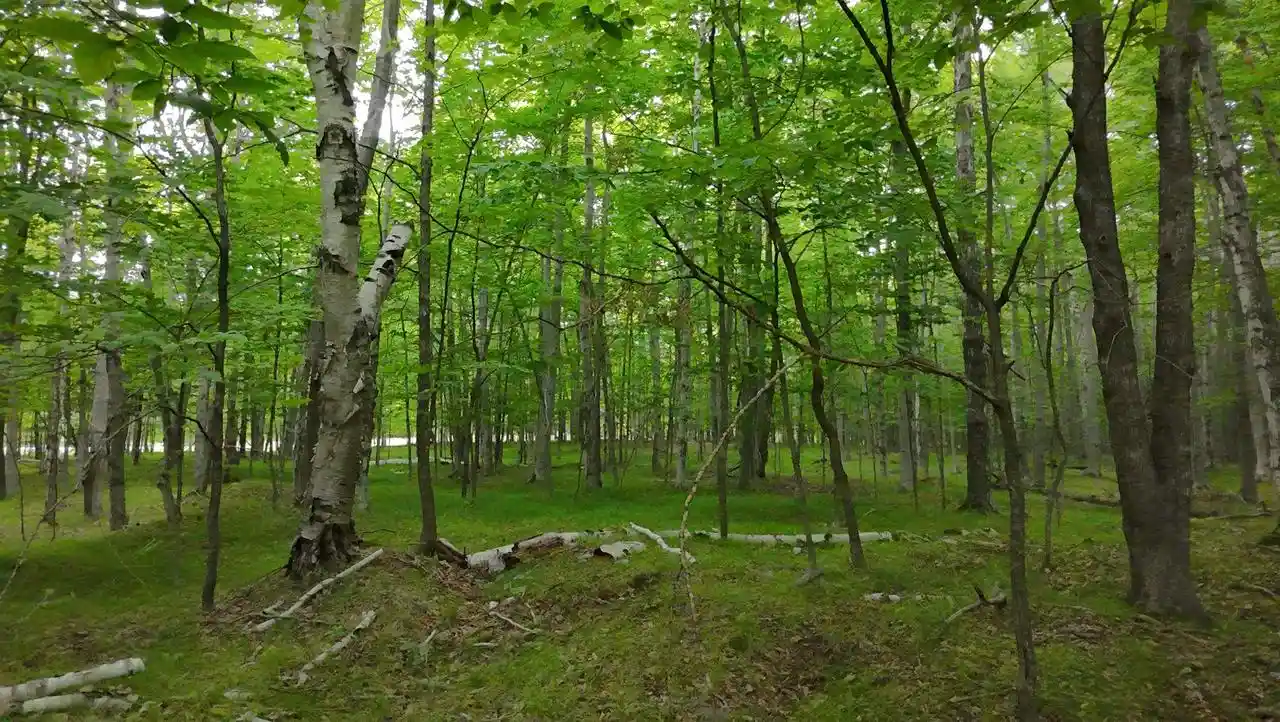 14th image of Gibraltar Road Road, Fish Creek, WI 54212 | MLS# 50330400