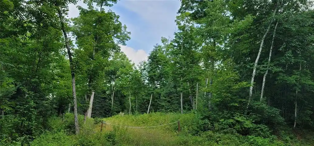 1st image of 0000 Lower Twin Lake, Hayward, WI 54843 | MLS# 1603902