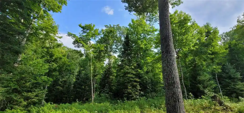 2nd image of 0000 Lower Twin Lake, Hayward, WI 54843 | MLS# 1603902