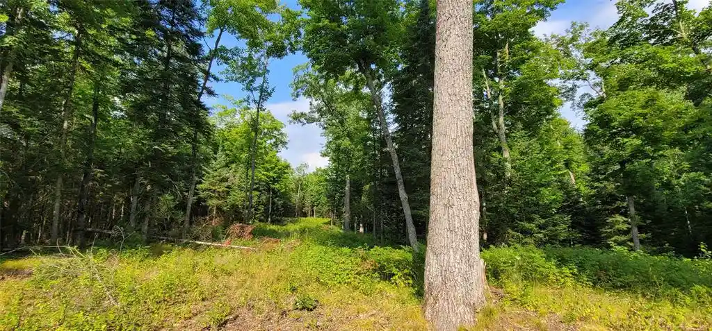 3rd image of 0000 Lower Twin Lake, Hayward, WI 54843 | MLS# 1603902