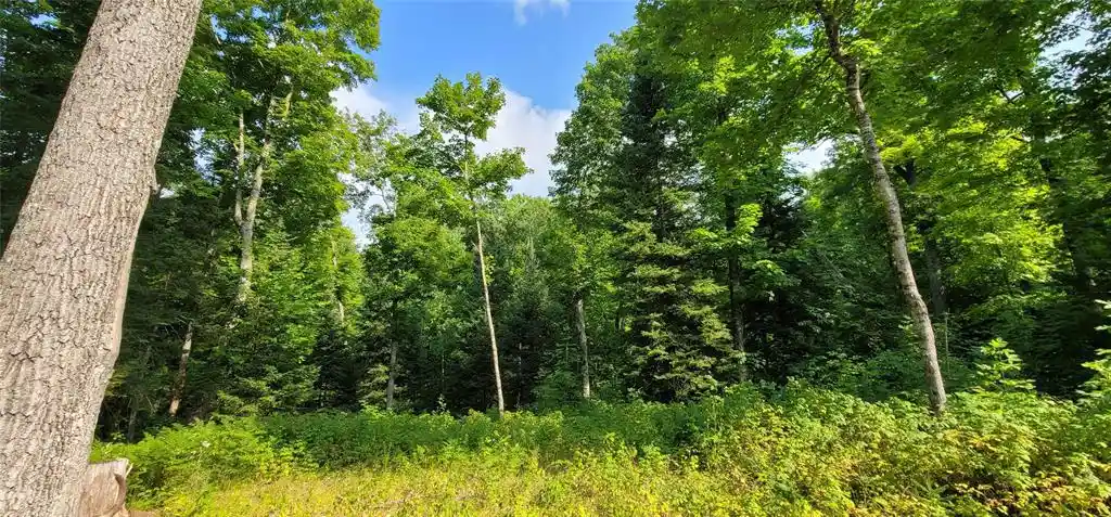 4th image of 0000 Lower Twin Lake, Hayward, WI 54843 | MLS# 1603902