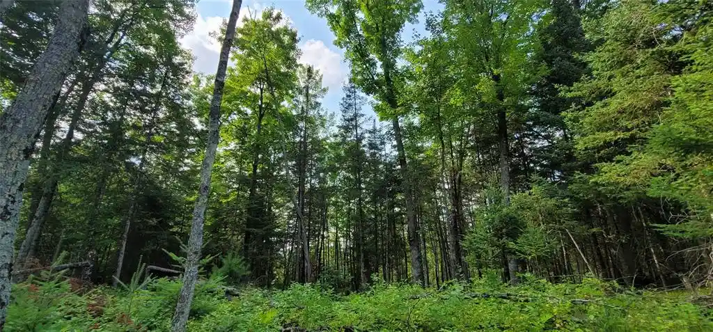 5th image of 0000 Lower Twin Lake, Hayward, WI 54843 | MLS# 1603902