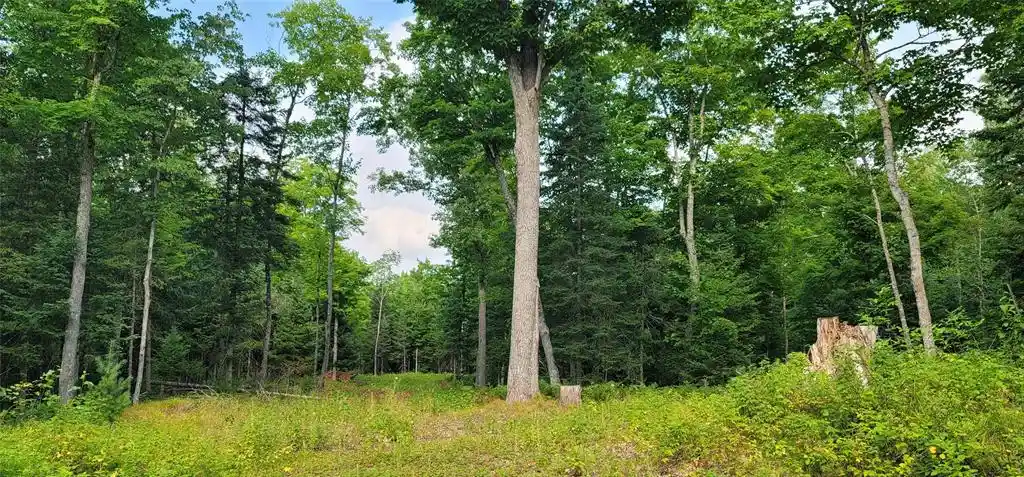8th image of 0000 Lower Twin Lake, Hayward, WI 54843 | MLS# 1603902