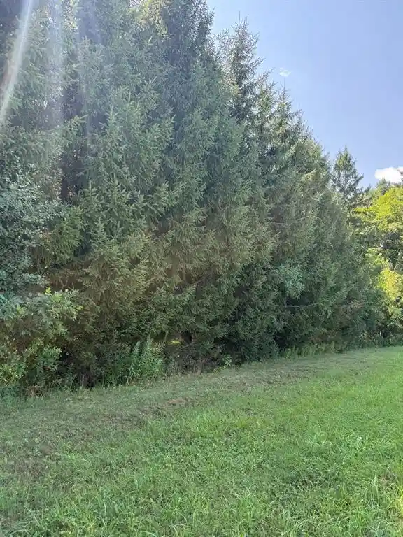 Photo 3 of Land for sale at 1100 11th Avenue Avenue, Cumberland, WI 54829 | MLS# 1603873 | Listing updated on 2026-08-13
