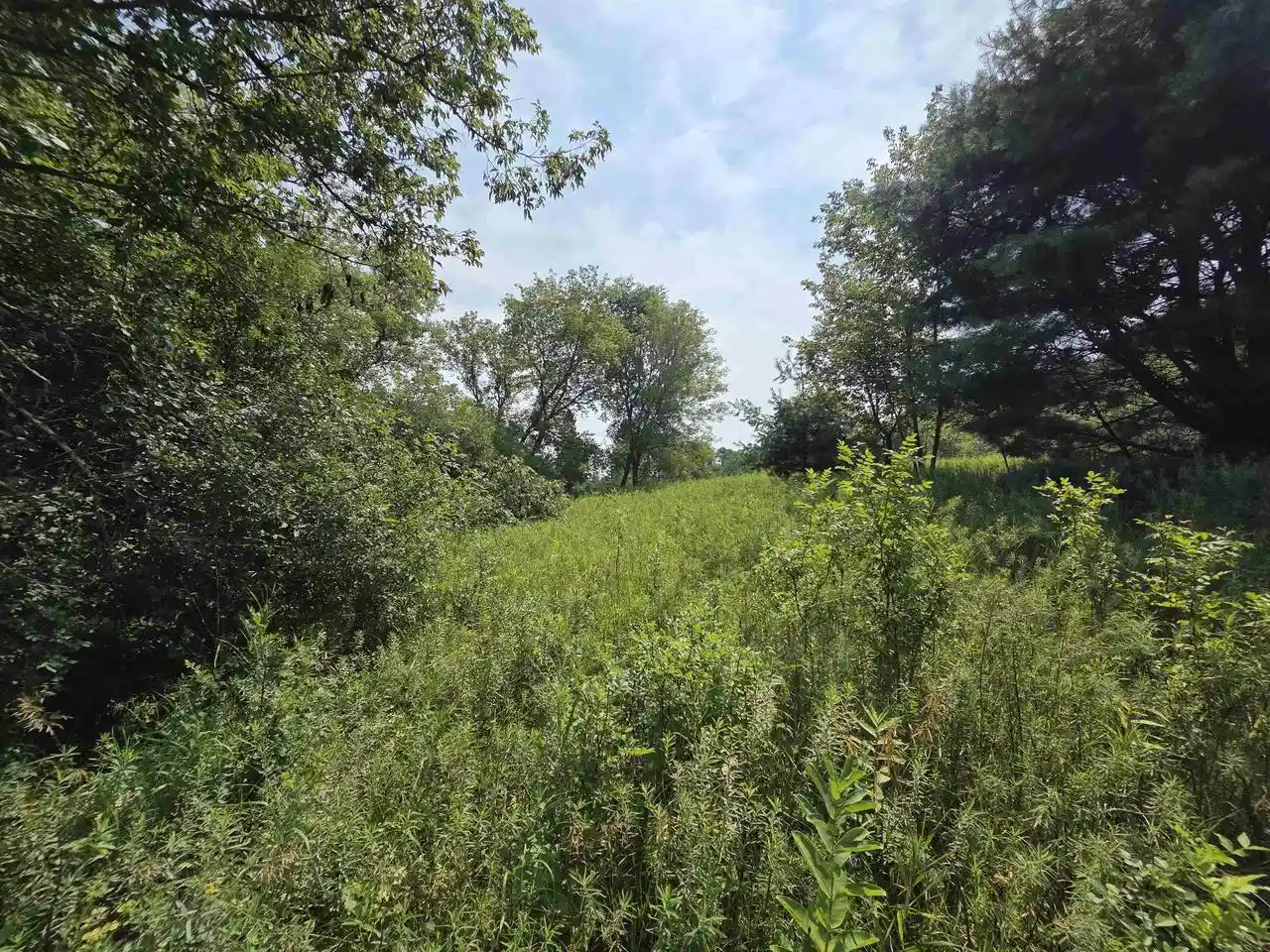 4th image of Polk Avenue Avenue, Wausaukee, WI 54177 | MLS# 50330455