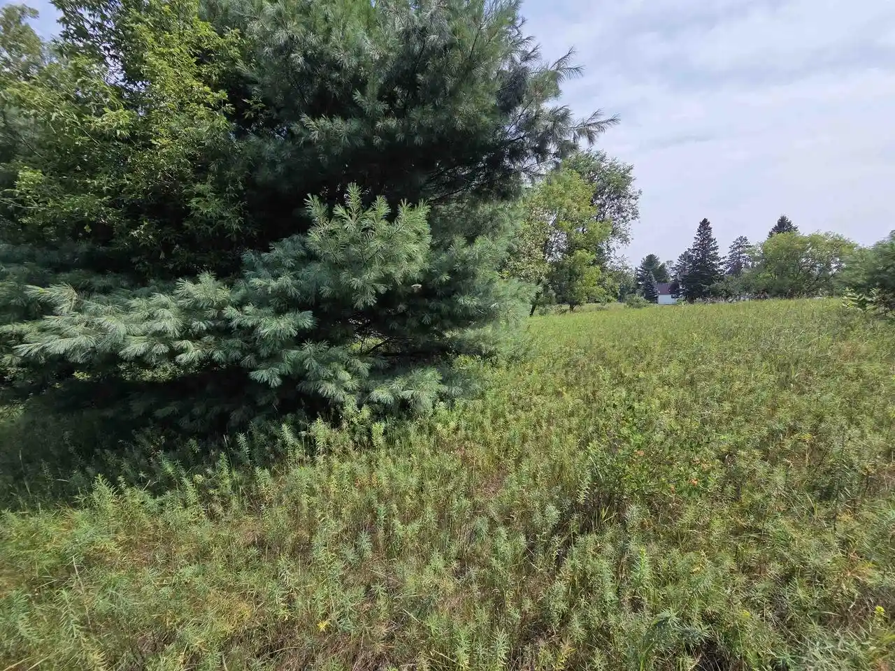 13th image of Polk Avenue Avenue, Wausaukee, WI 54177 | MLS# 50330455