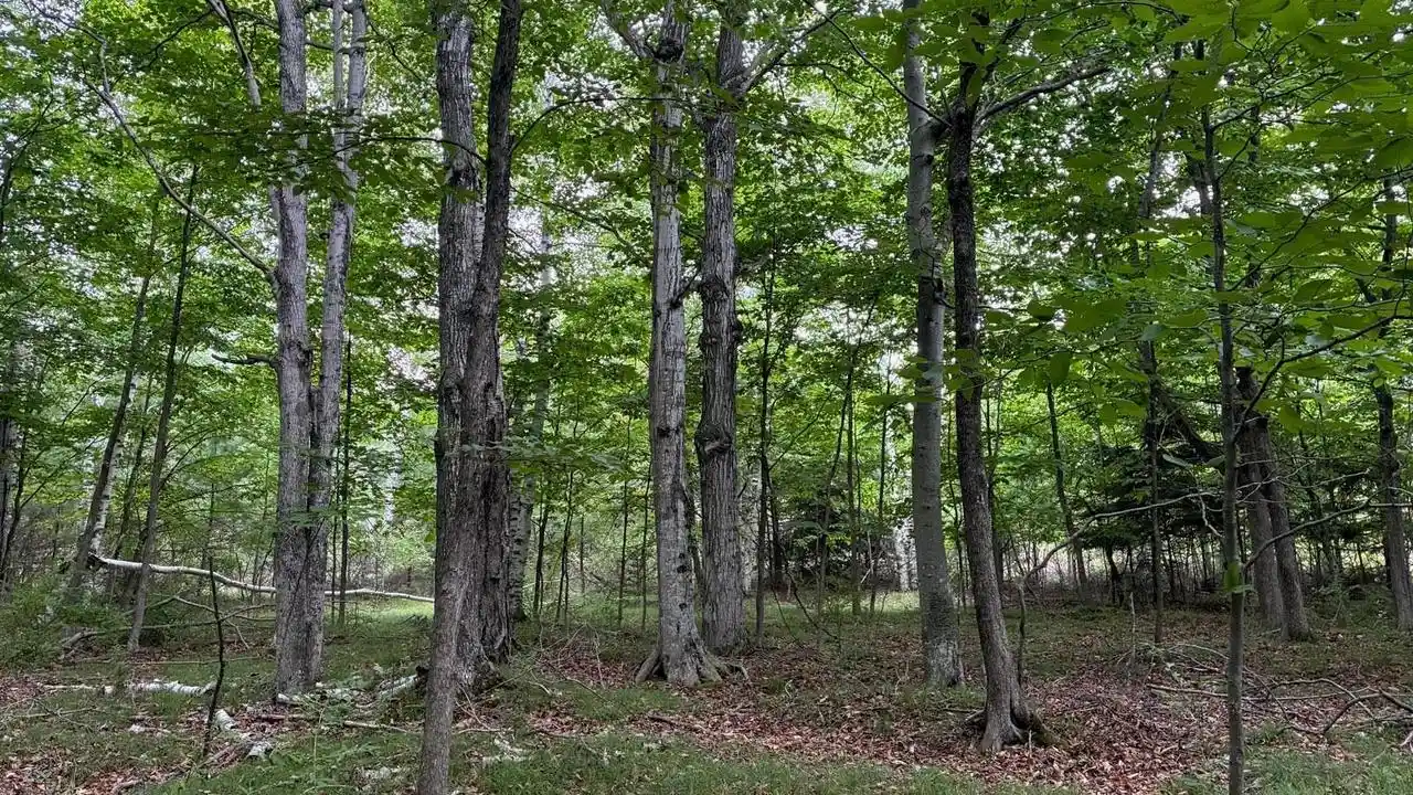 1st image of Airport Road Road, Washington Island, WI 54246 | MLS# 50330486