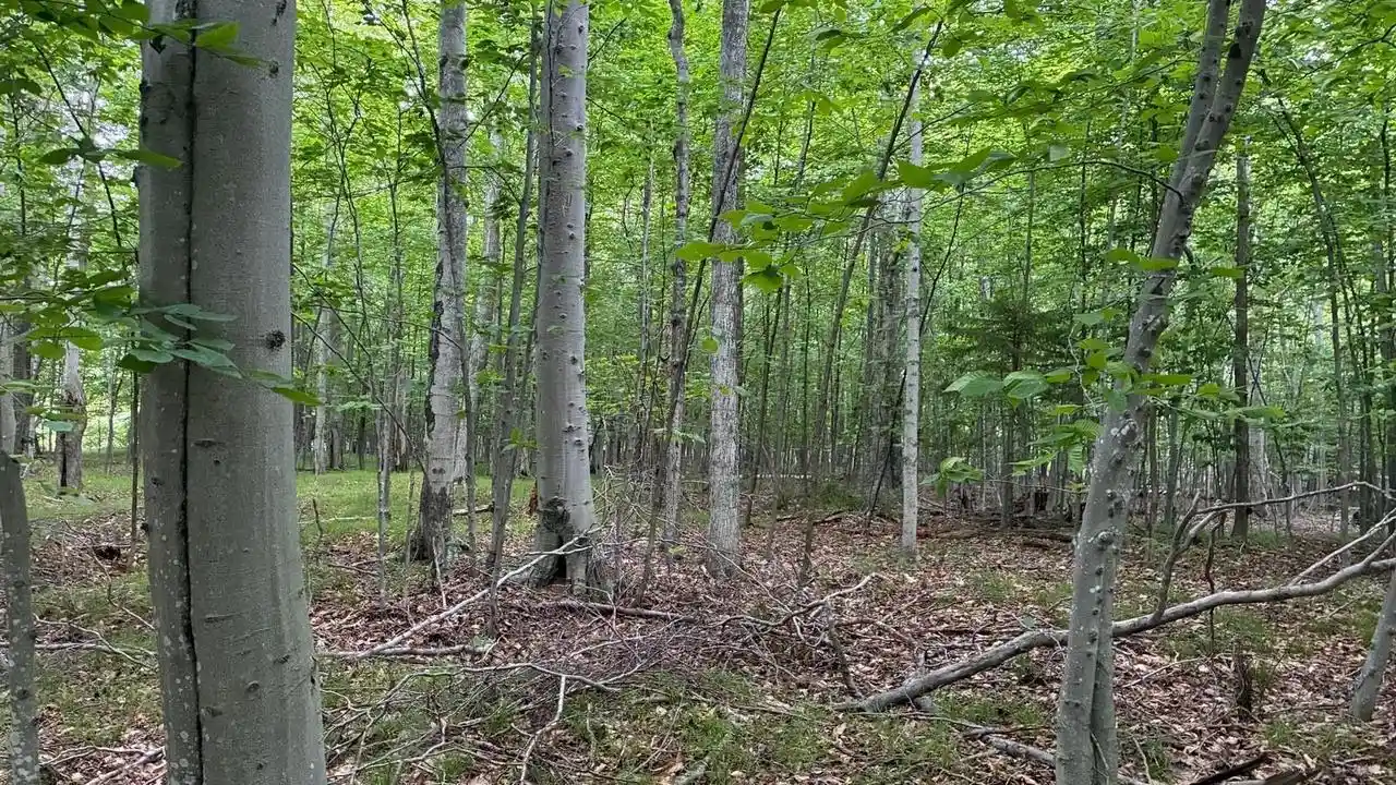 3rd image of Airport Road Road, Washington Island, WI 54246 | MLS# 50330486